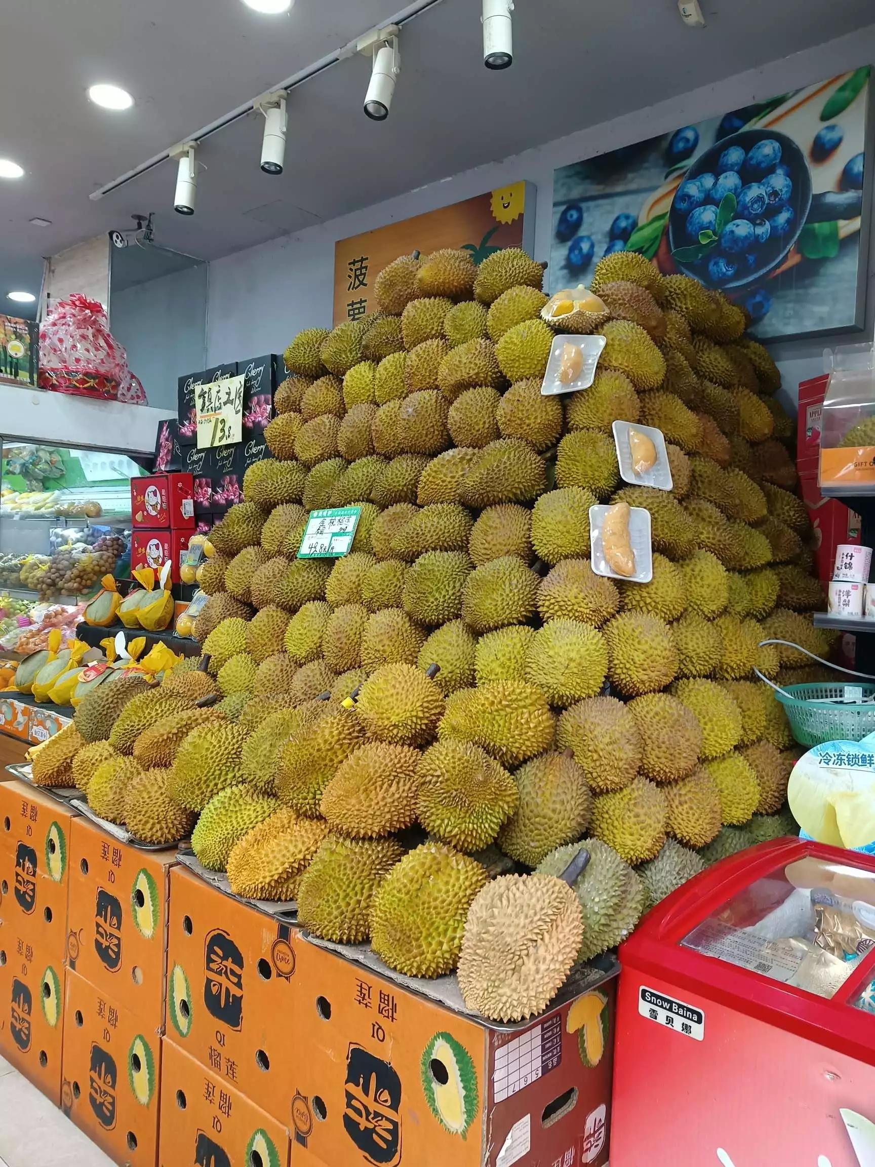 认识各种花卉名称,认识各种花的名字