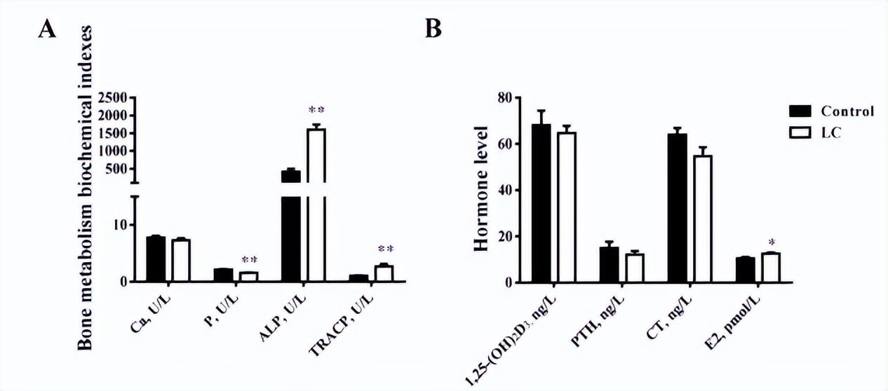 浣庨挋楗叉枡,浣庨挋鏃ョ伯