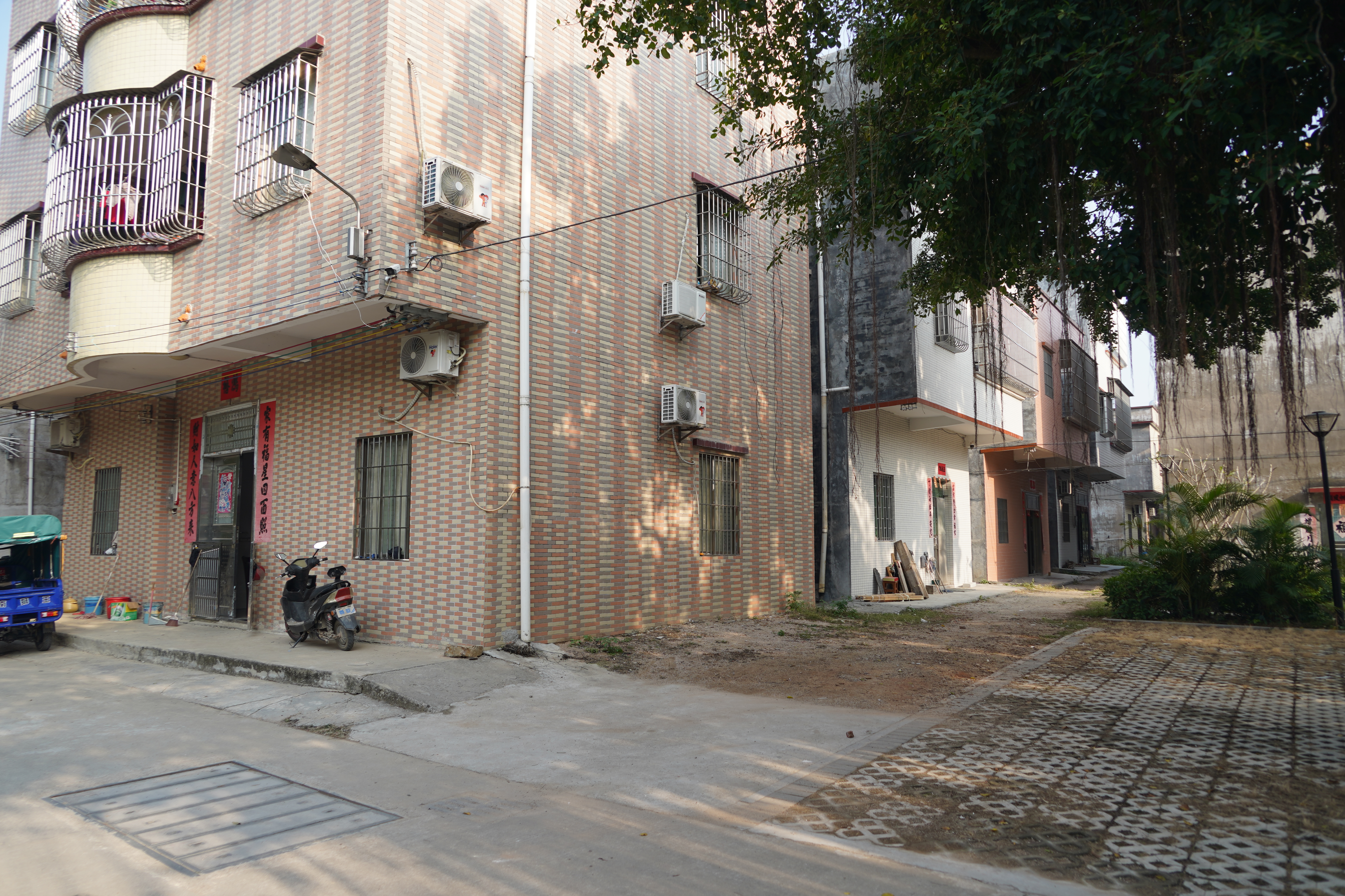 江门新会旅游景点小鸟的天堂,新会小鸟天堂历史记录