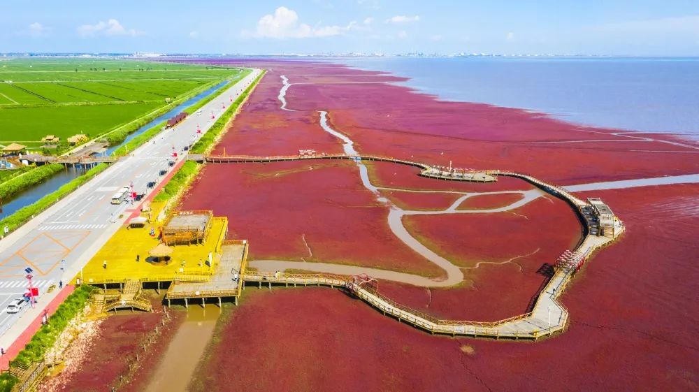 旅游图片合集多张海边,七月的红海滩景色怎么样