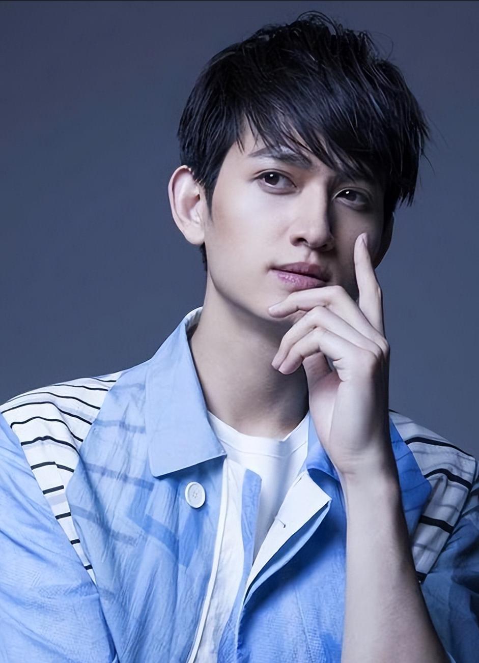 从红极一时到落魄的6位男星,红得快凉得更快的四位男星