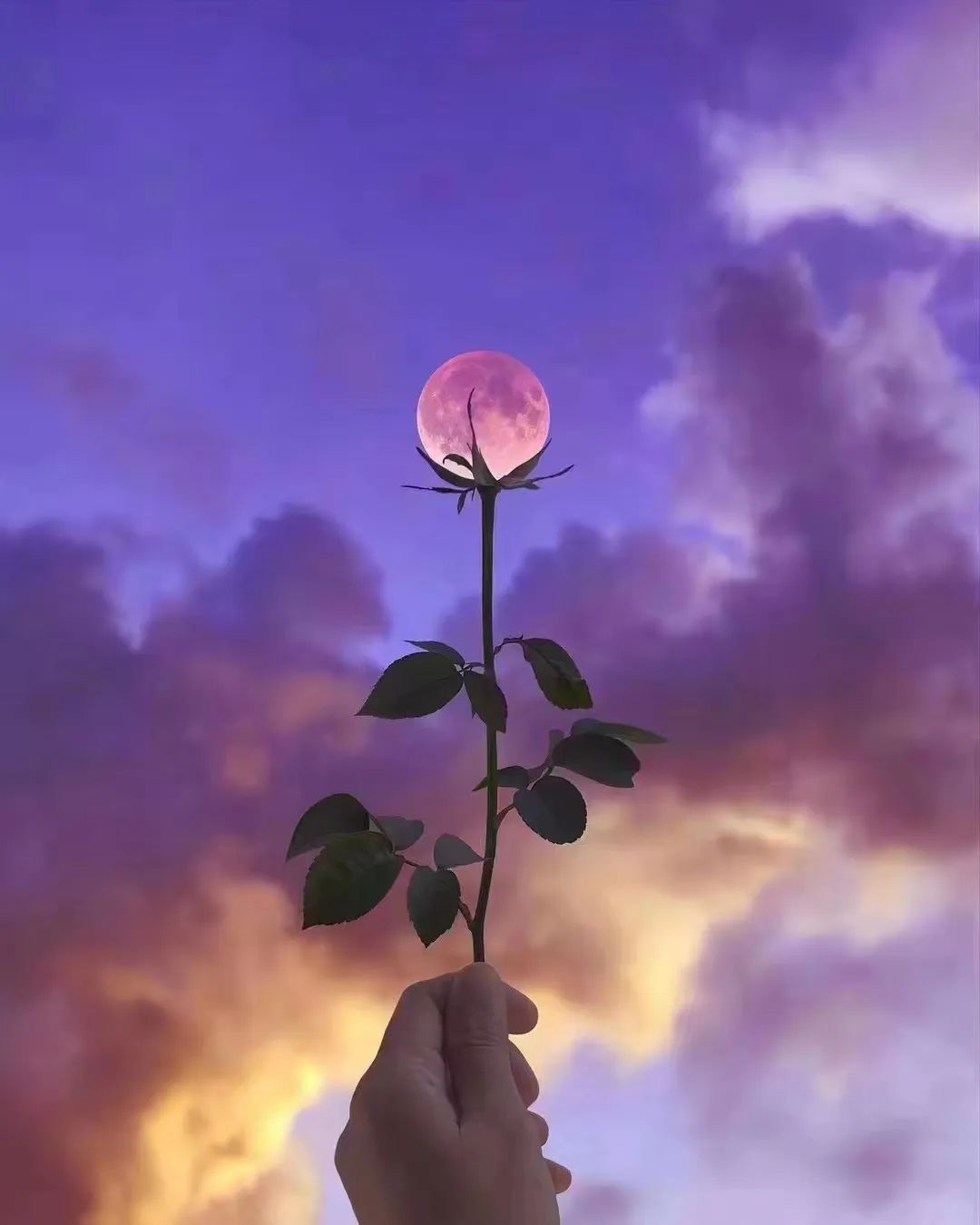 中秋诗词四首全文,中秋节诗词赏析5首