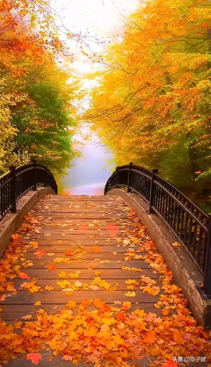 广州人的春天，从一朵木棉花开始（二首）