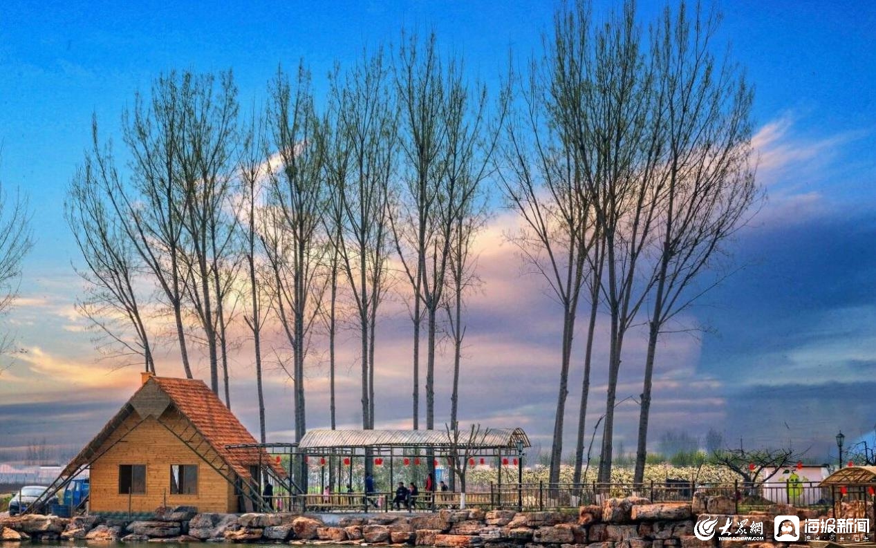 潍坊创建“东亚文化之都”丨走进省级景区村庄——“西许戈村”