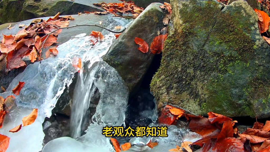天干壬水和癸水同透,癸阴水和壬阳水的区别