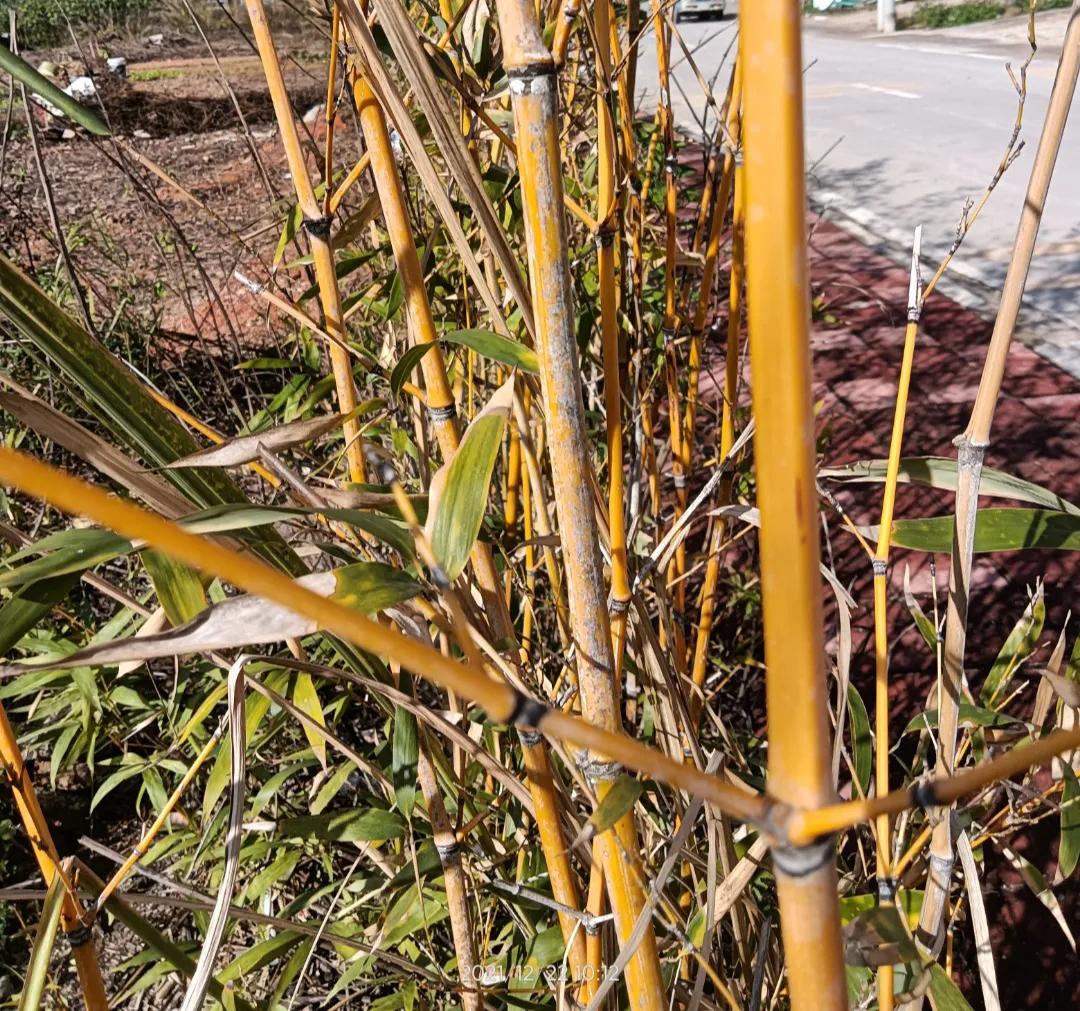 心灵的拷问,心灵的拷问是什么意思