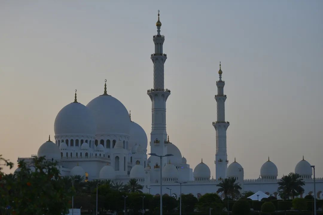 V世界｜夏天，在阿布扎比的11个“极致”体验