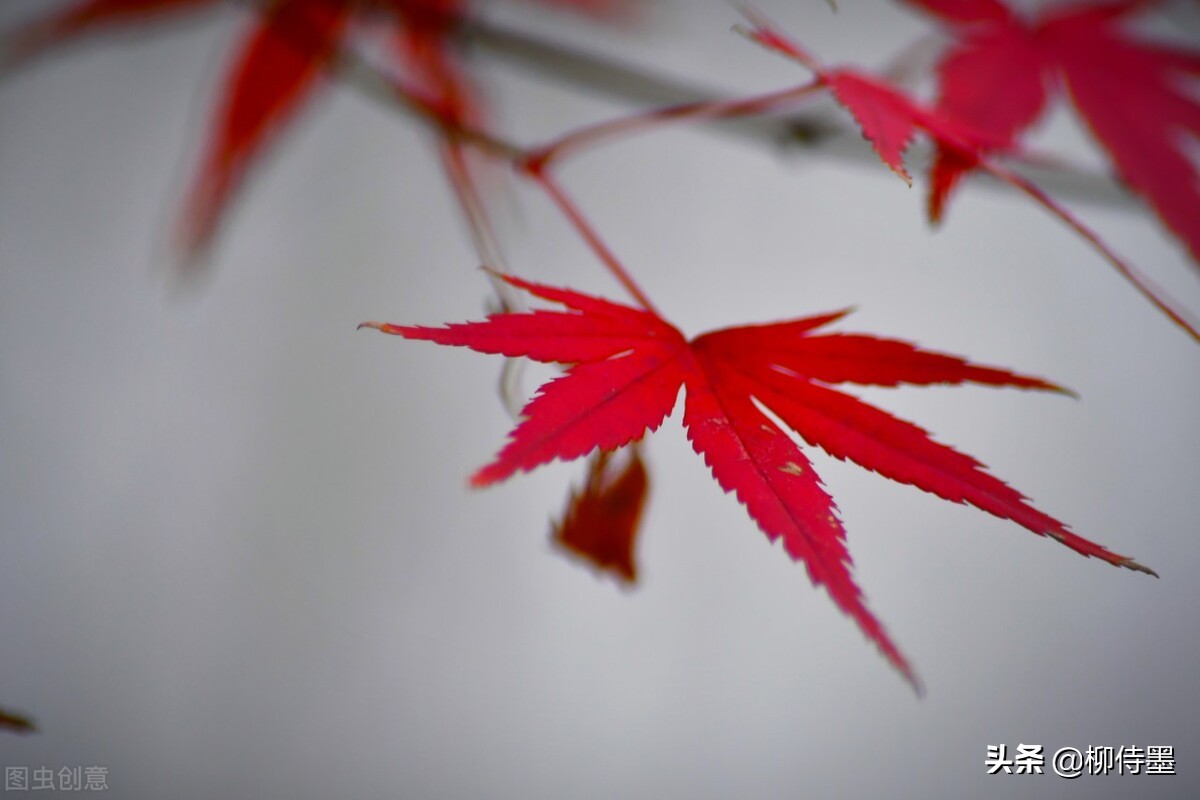 拍照不好看只要学会这些小技巧,摄影大师教你拍照技巧