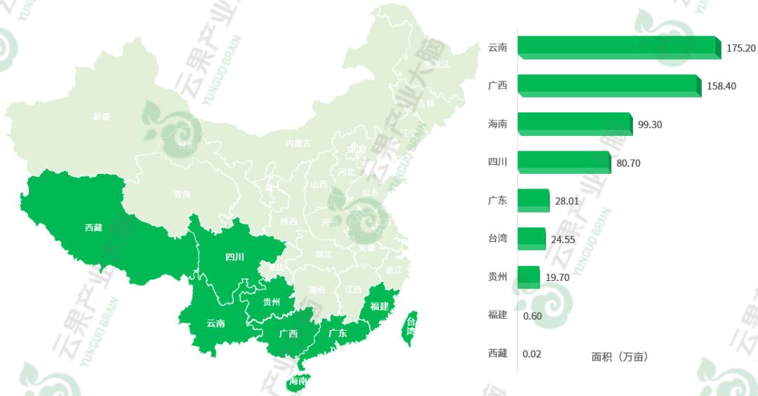国内芒果产业发展现状,中国各省芒果主产区上市时间