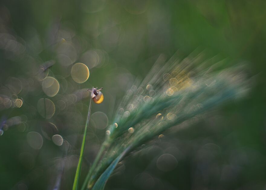 大自然的美景秋天摄影照片,美丽的大自然春夏秋冬图片大全