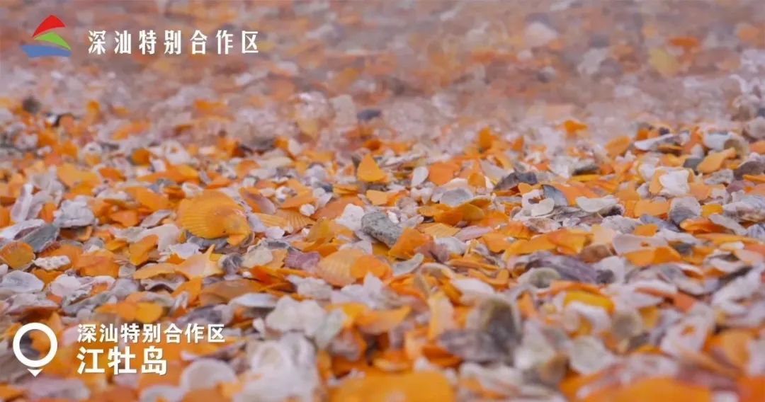 海边露营看日落地点推荐,海边露营深圳