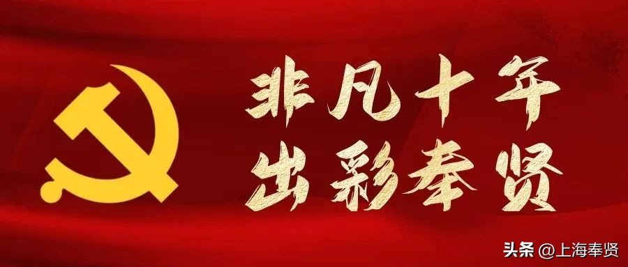 柘林绿色智慧小镇,2023年奉贤区柘林镇最新规划