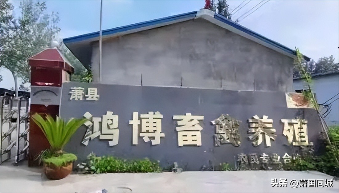 萧县伏羊节谁家最好,萧县伏羊汤哪里最正宗