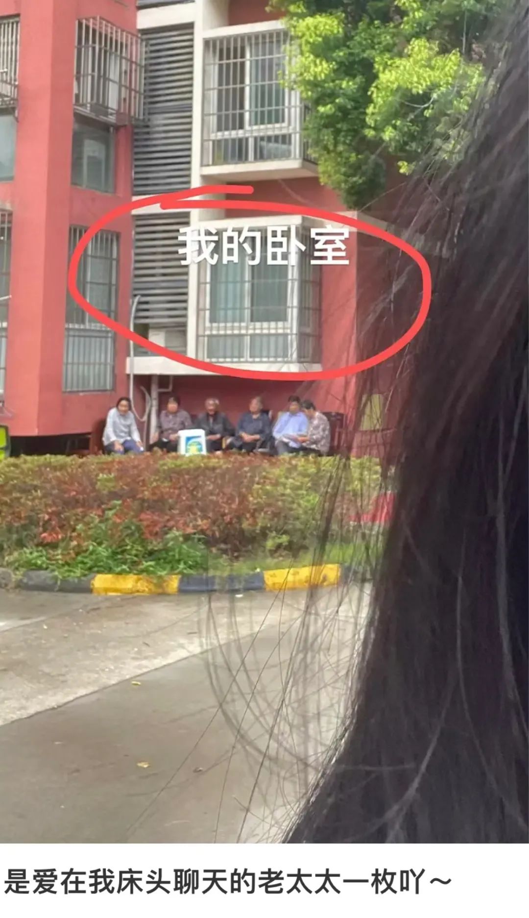 租房选到这层楼，人间第一冤大头