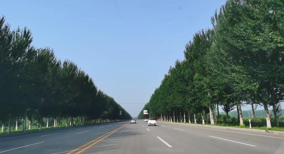 落子无悔cg,落子无悔前面一句