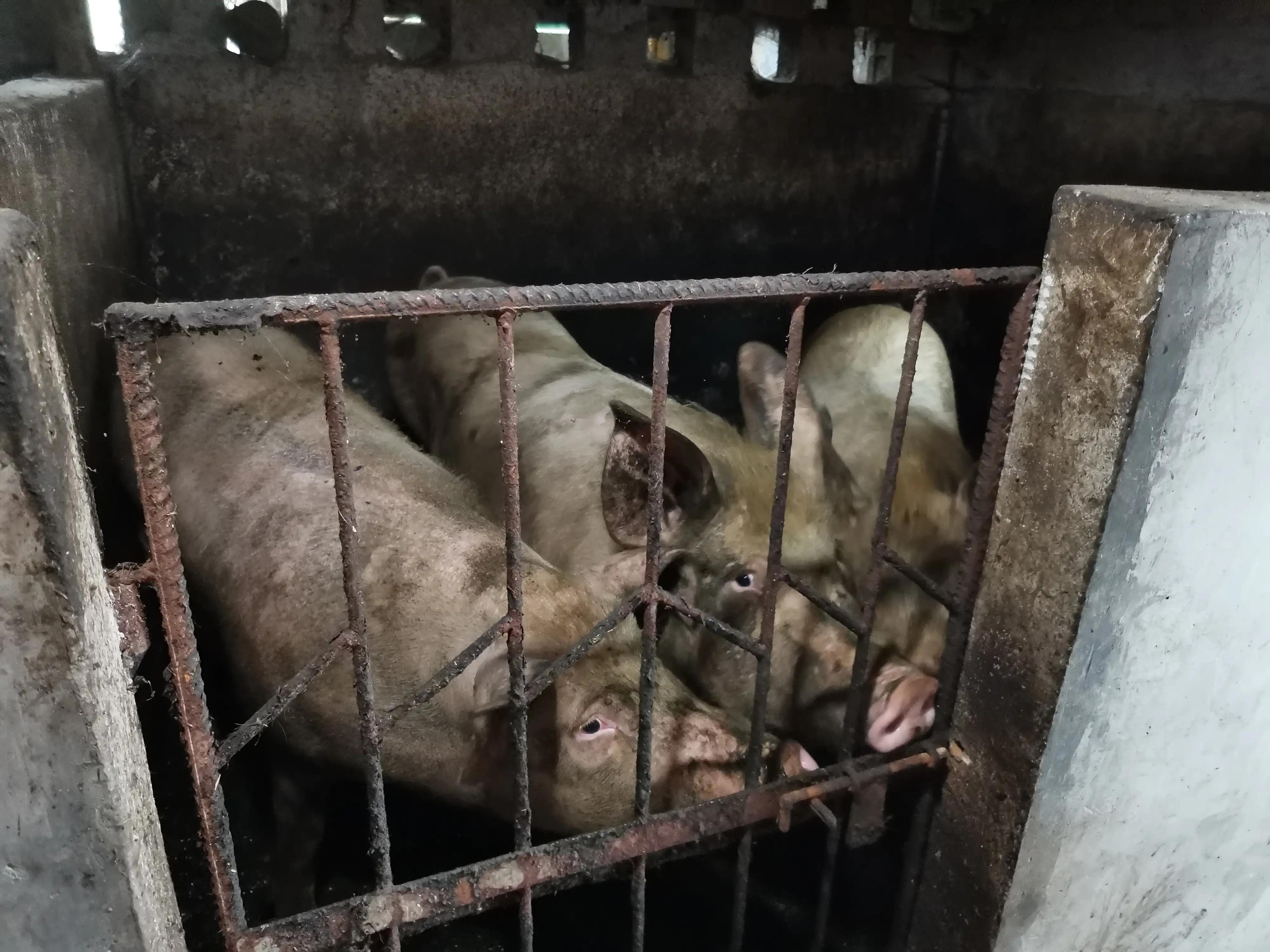 刨锅汤桐梓,刨锅汤餐厅遵义