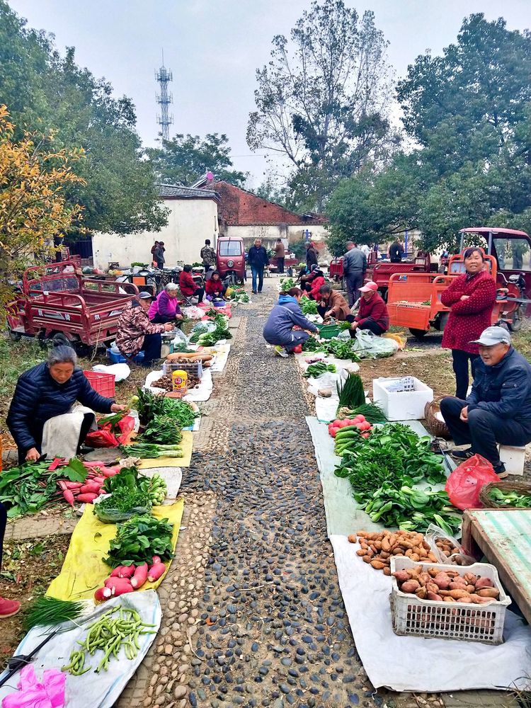 中铁25个局的前世今生,铁四局襄阳401厂