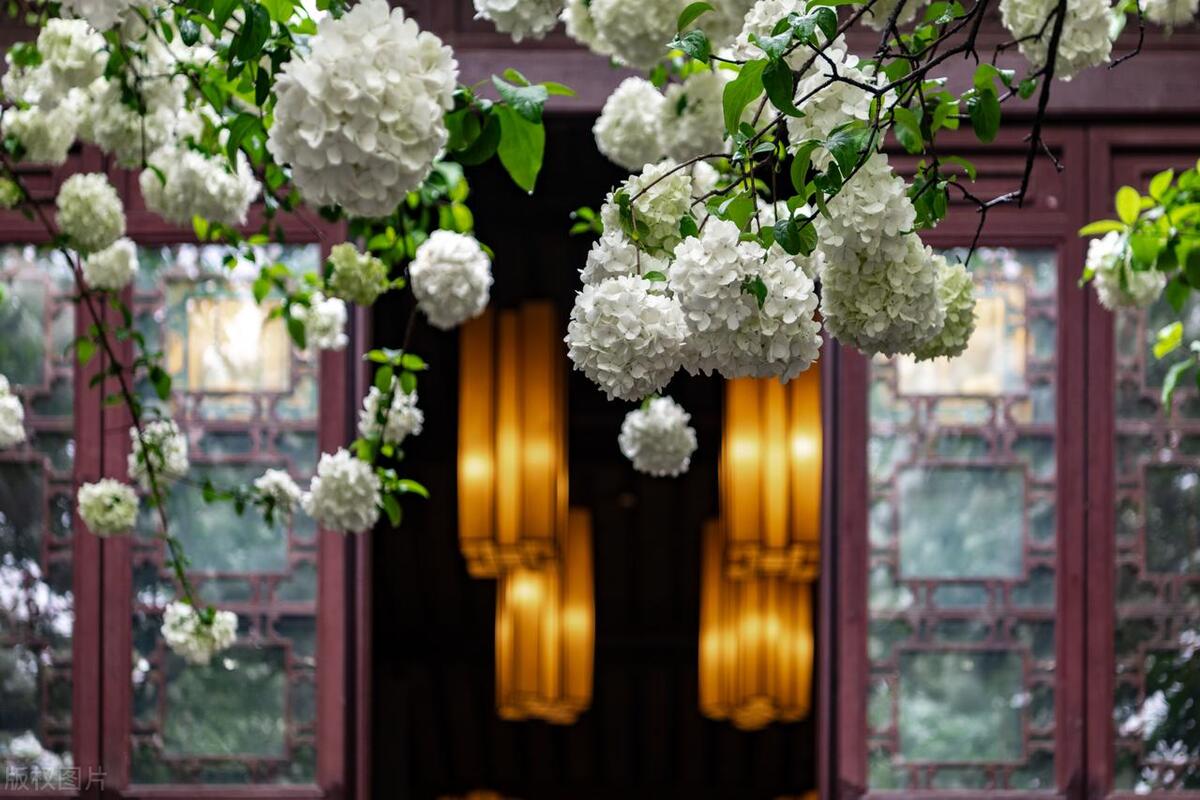 南京值得去的免费景点旅游攻略,南京旅游必去的景点一日游免费