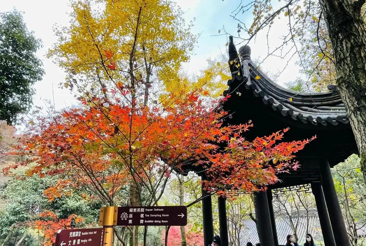 杭州周边赏秋好去处,杭州赏秋最佳攻略