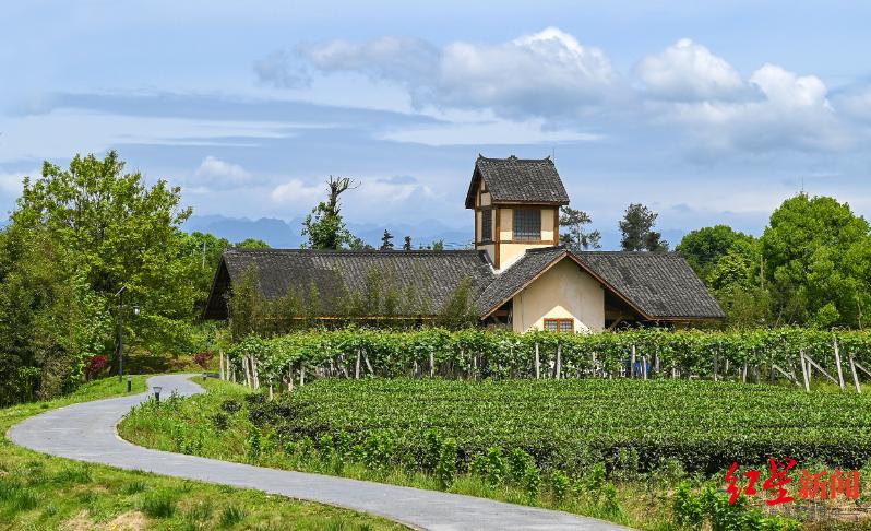 成都环城绿道规划图最新图,成都金牛区环城生态带最新规划