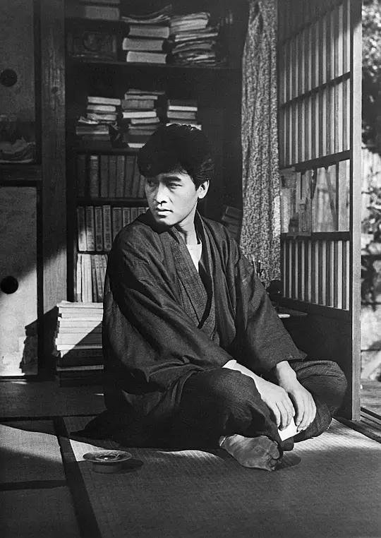 林芙美子放浪记简介,放浪记小说