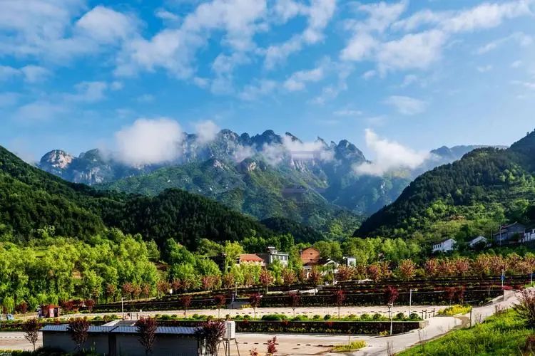 贾平凹自在独行越活越好,贾平凹日子过得才有意义