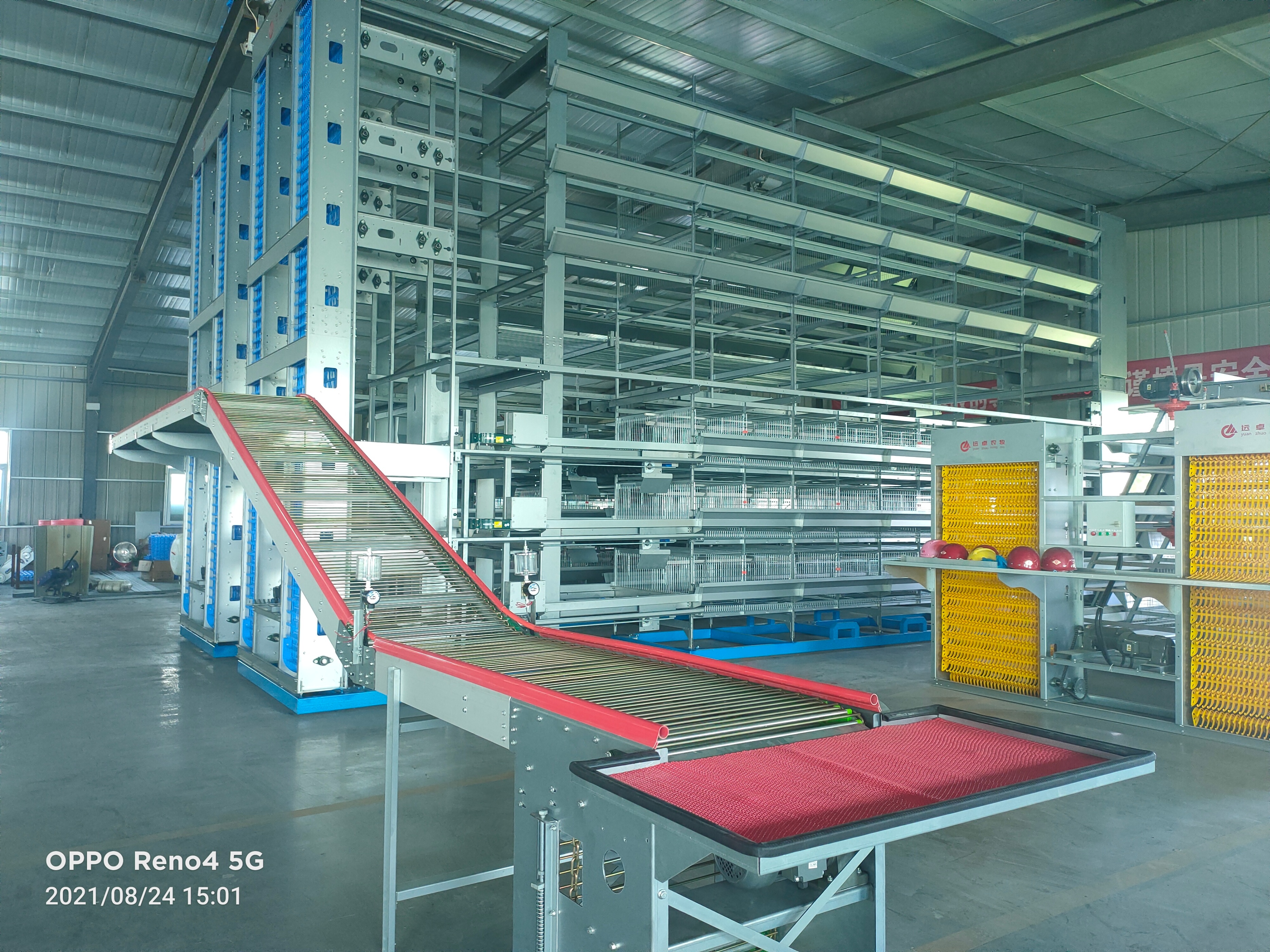 蛋鸡病毒性肠炎的治疗方法和症状,蛋鸡产蛋期肠炎怎么用药