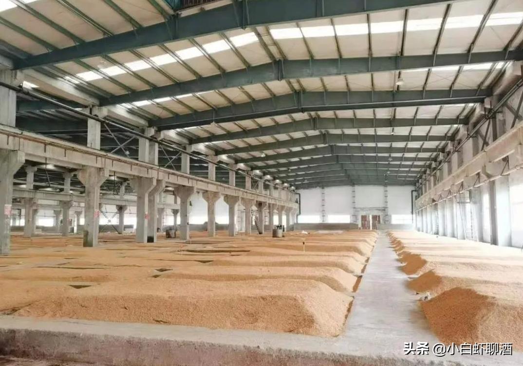 徽酒为何掉队,徽酒十大名酒