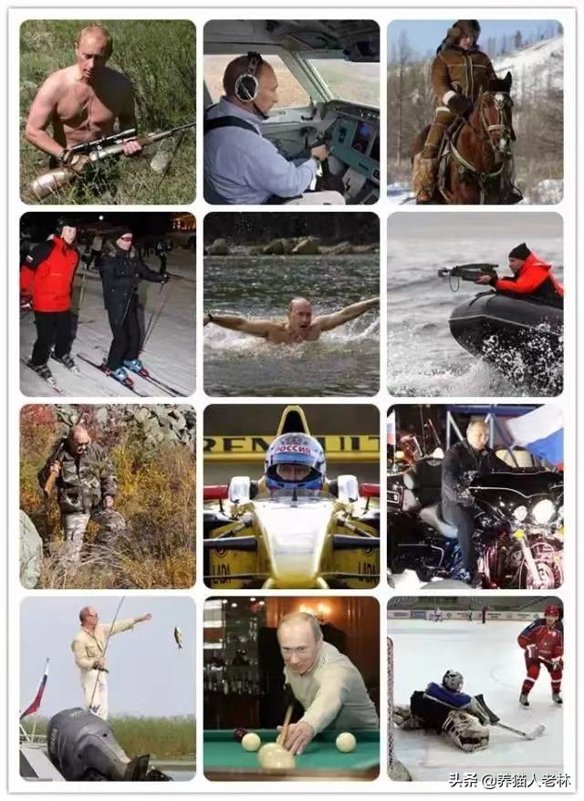 猫咪一直叫个不停怎么回事,猫咪哼哼唧唧是怎么回事