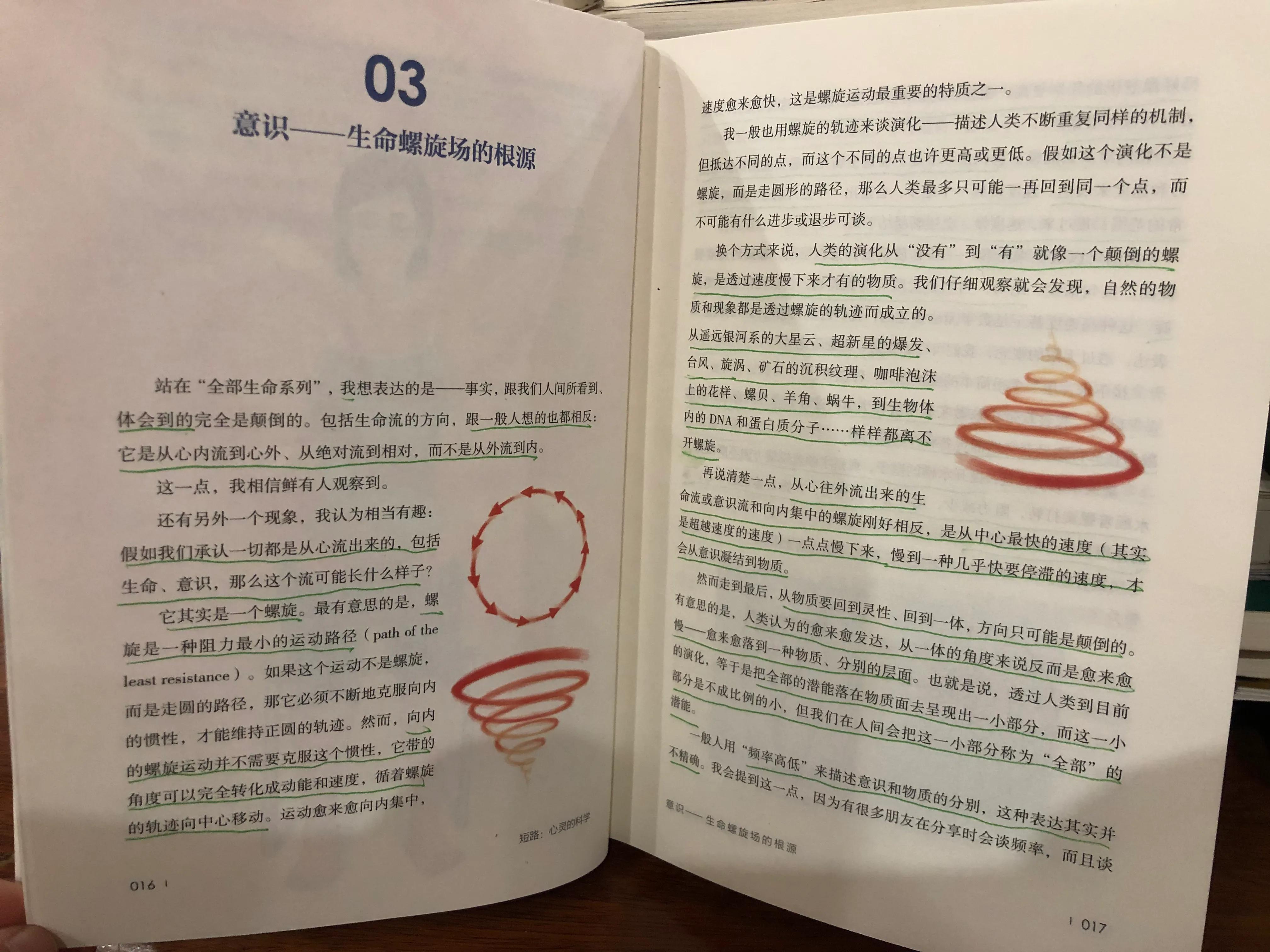 特蕾莎修女对整个世界的慈悲,特蕾莎修女的感人事迹