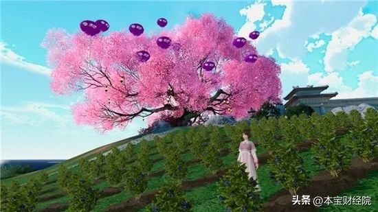 数字化应用,全球首个水果品牌佳沃元宇宙如何进行整合营销?