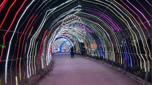 猜灯谜举杯邀明月,猜灯谜元宵佳节