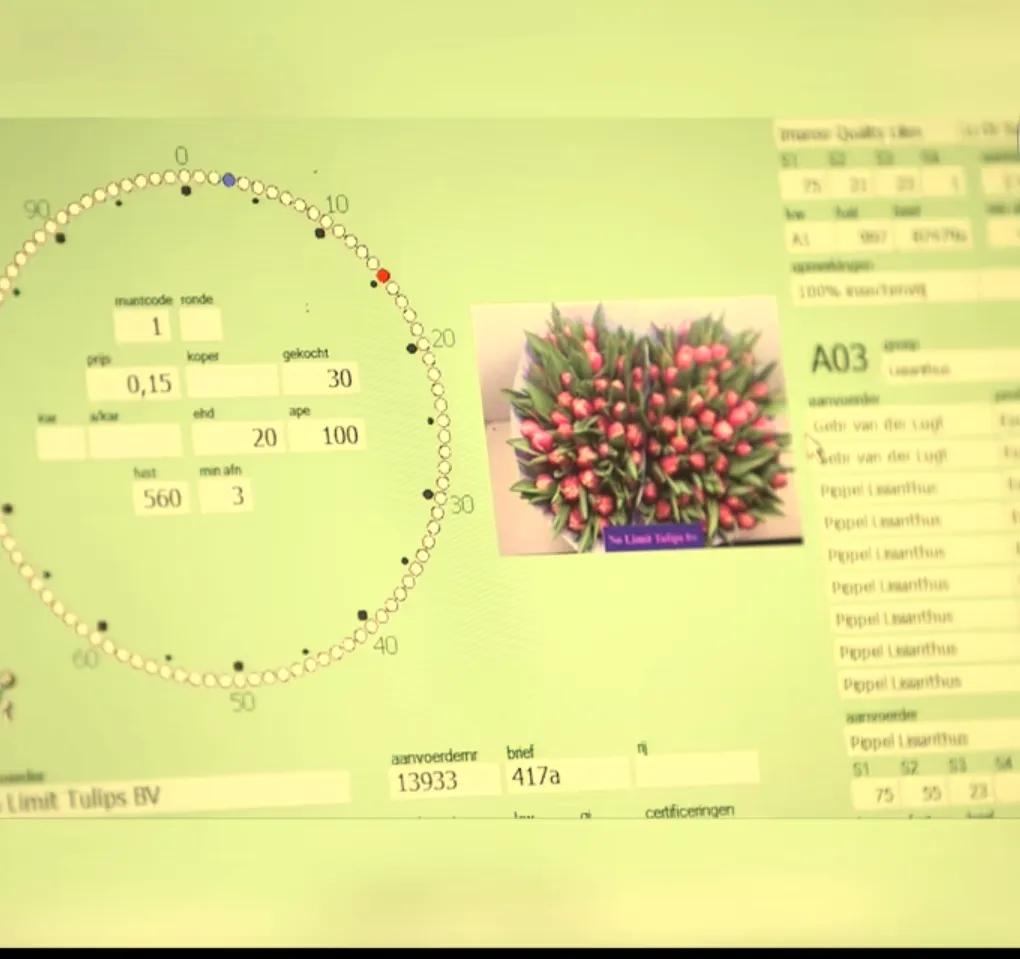 拍卖的创意茶壶,荷兰式拍卖钟