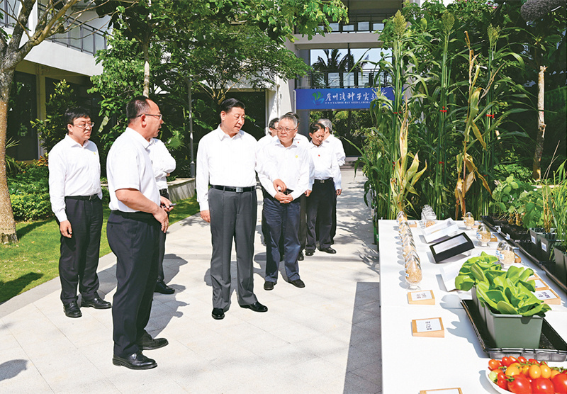 习*平近**:加快建设农业强国推进农业农村现代化