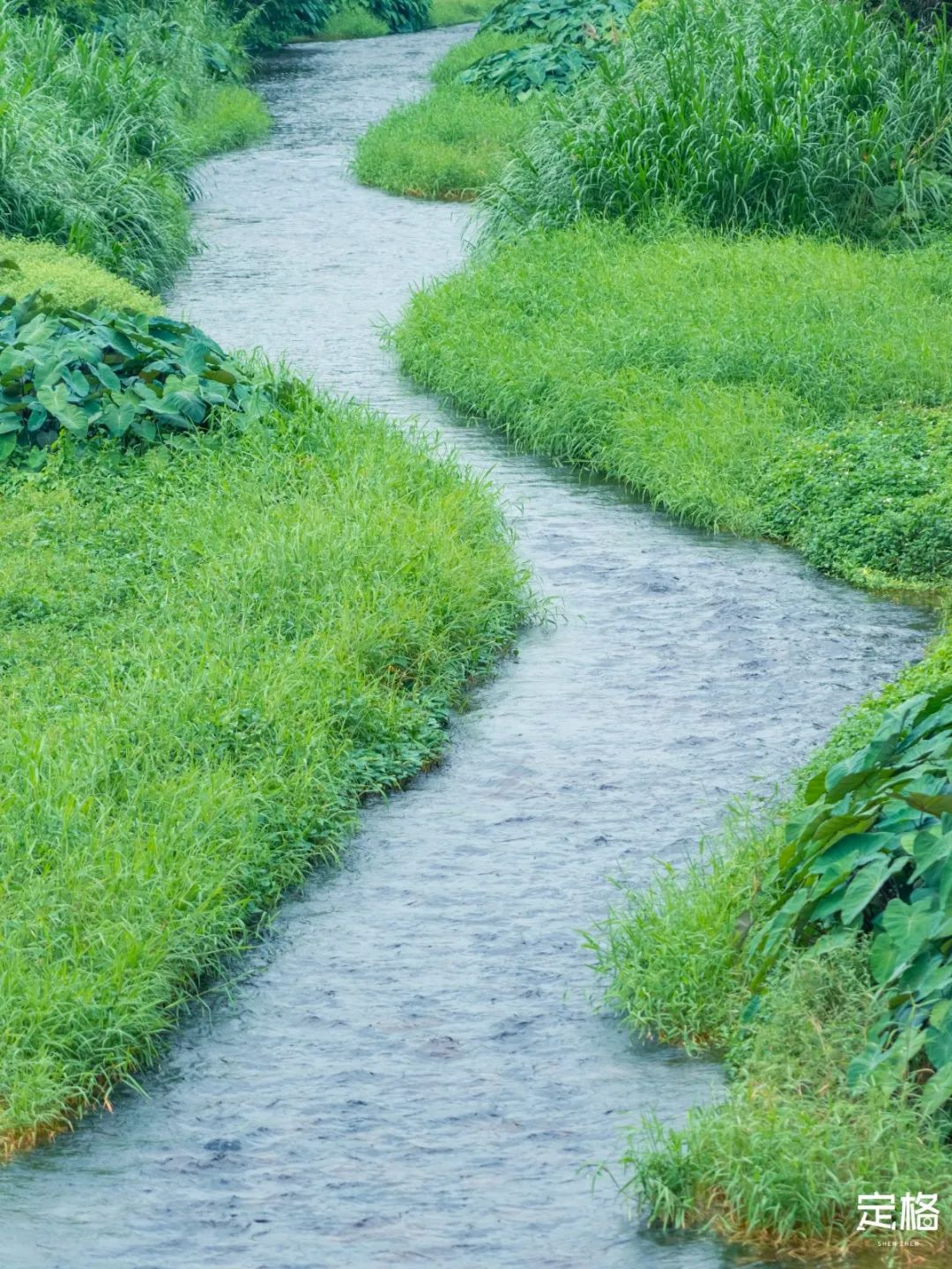 家住深圳必去的公园绿道,深圳环湖绿道好玩么