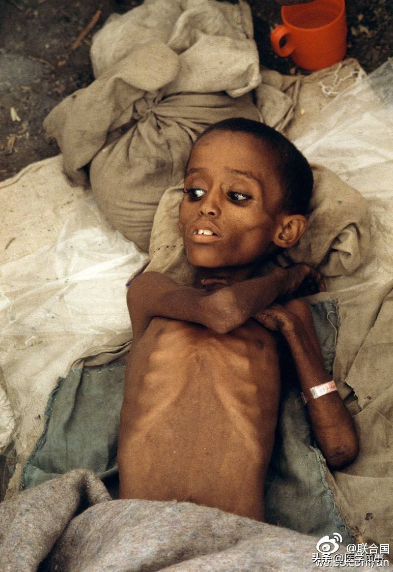 鸡蛋的味道和口感,鸡蛋的原汁原味