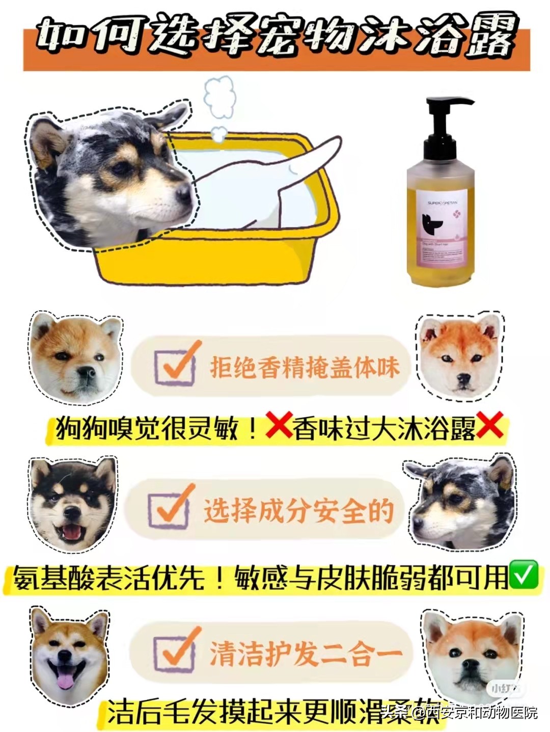 超全狗狗洗澡流程！直接抄作业照着做