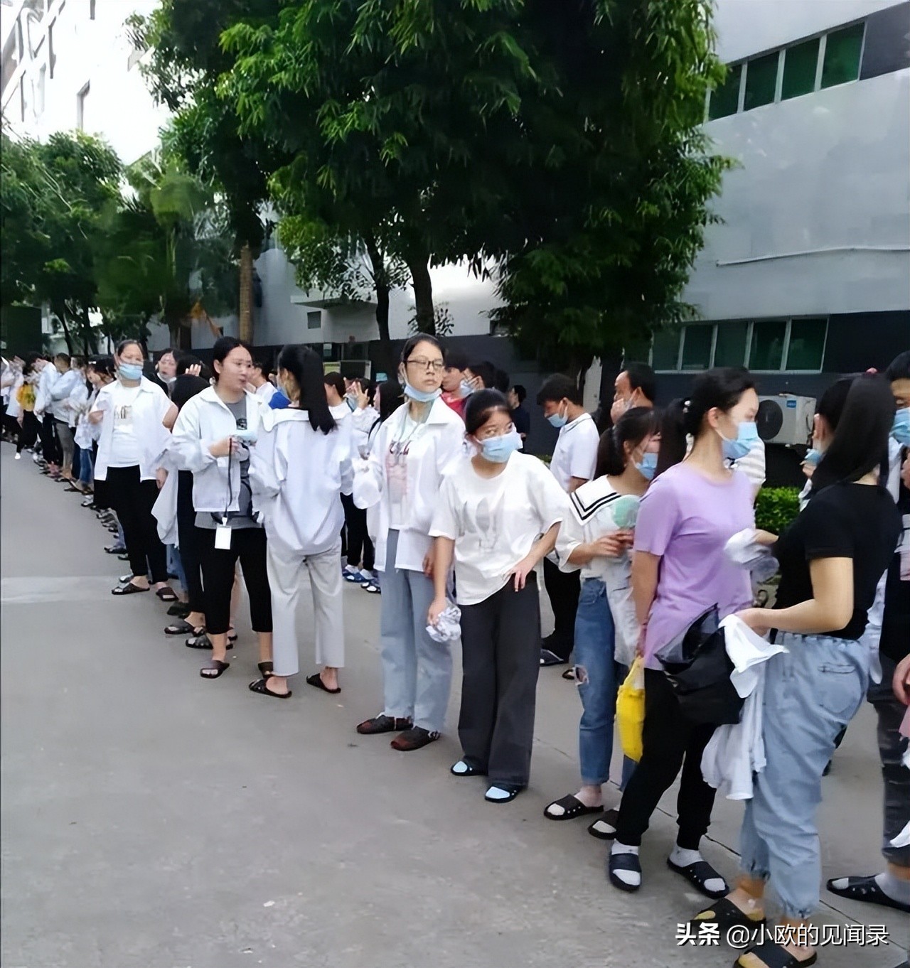 德国人为什么打工不愿意当老板,为什么德国工人一辈子不换工作