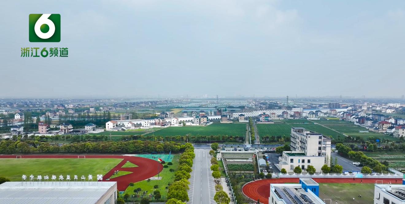 益农镇大发展,萧山益农镇现状