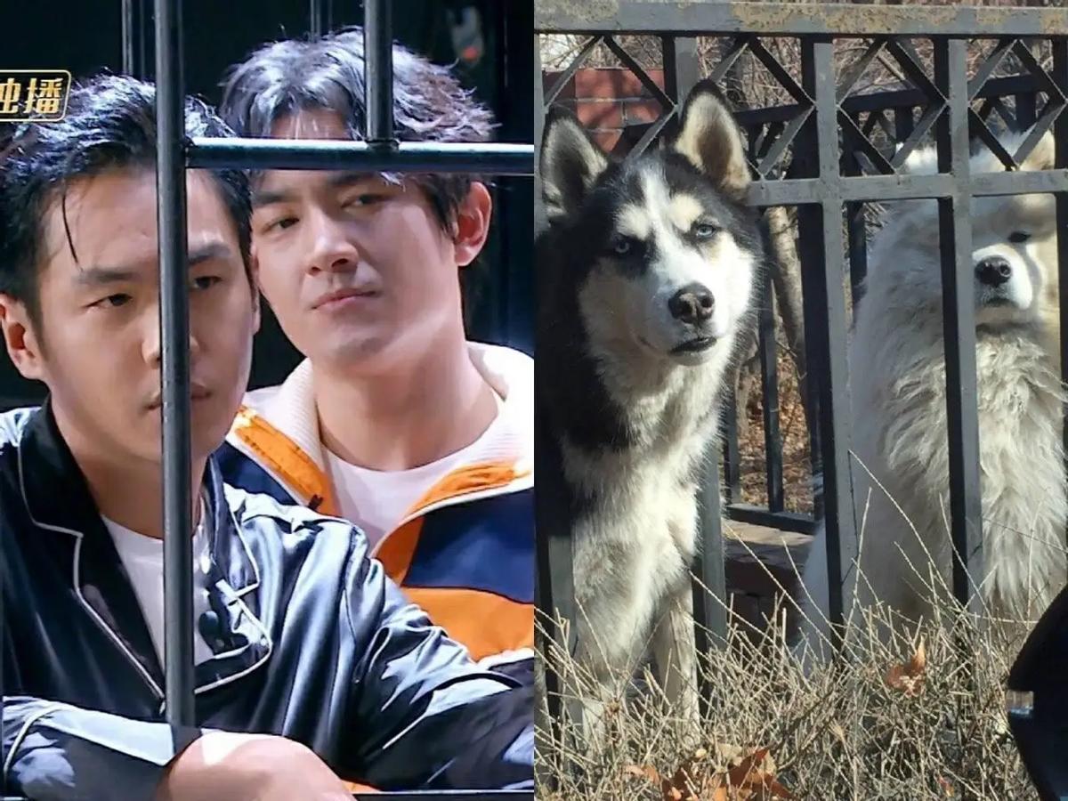 占据中国影视圈半壁江山的“东北帮”，到底有多牛?