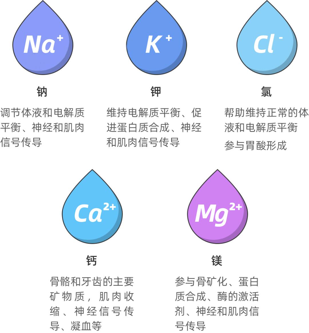 被疯抢的电解质水，真的有用吗？