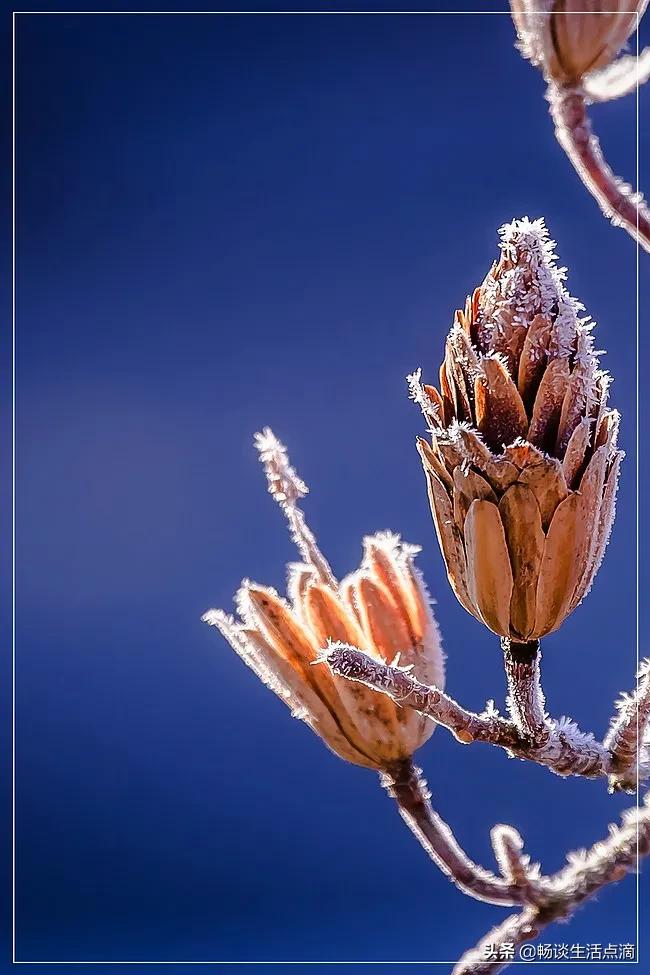 2022年的年景预测,预测2022年什么年景