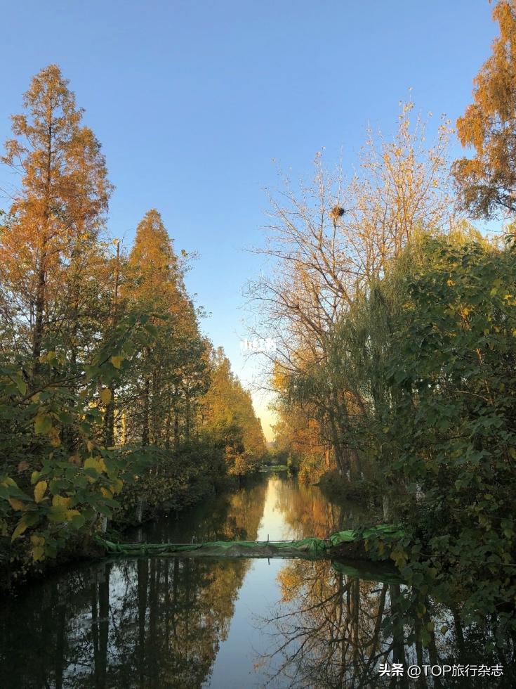 长沙秋景漂亮的地方,长沙周边秋景