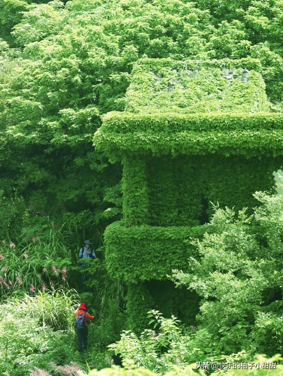 终于通车！这座在浙江低调了千年的“海上悬岛”，目测要火！