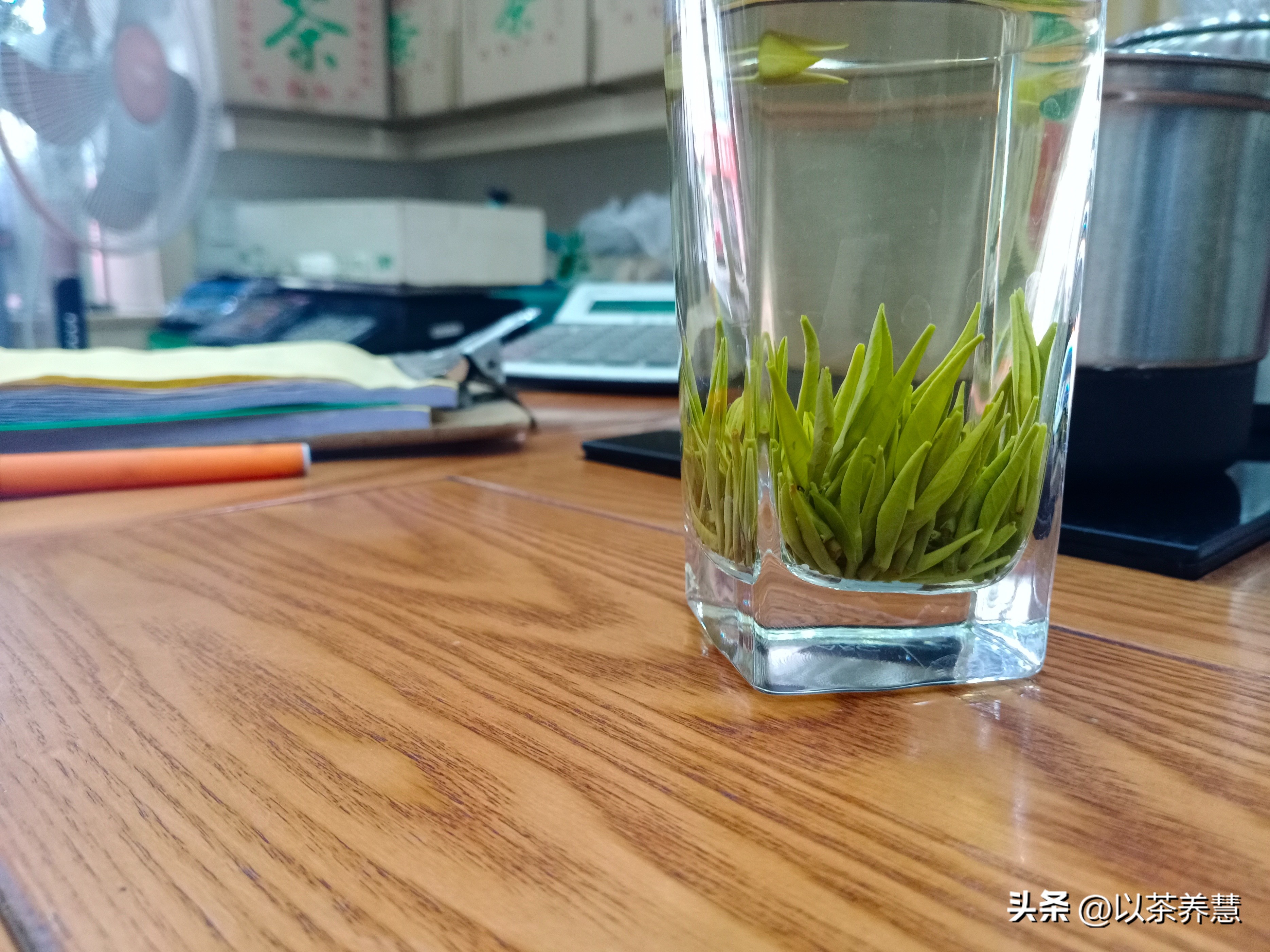 茶叶储存需要注意的问题,茶叶储存需要注意哪些要点问题