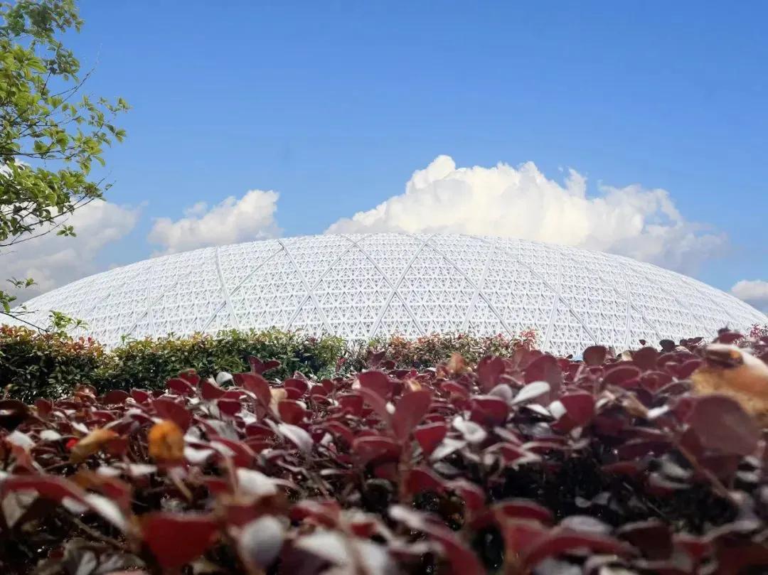 【城市名片】用汗水浇灌“青竹”成长！中建八局“筑”力林城打造体育明珠