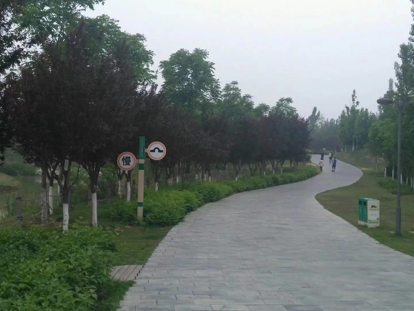 你对秦腔戏曲有什么新的认识,秦腔语言鉴赏札记