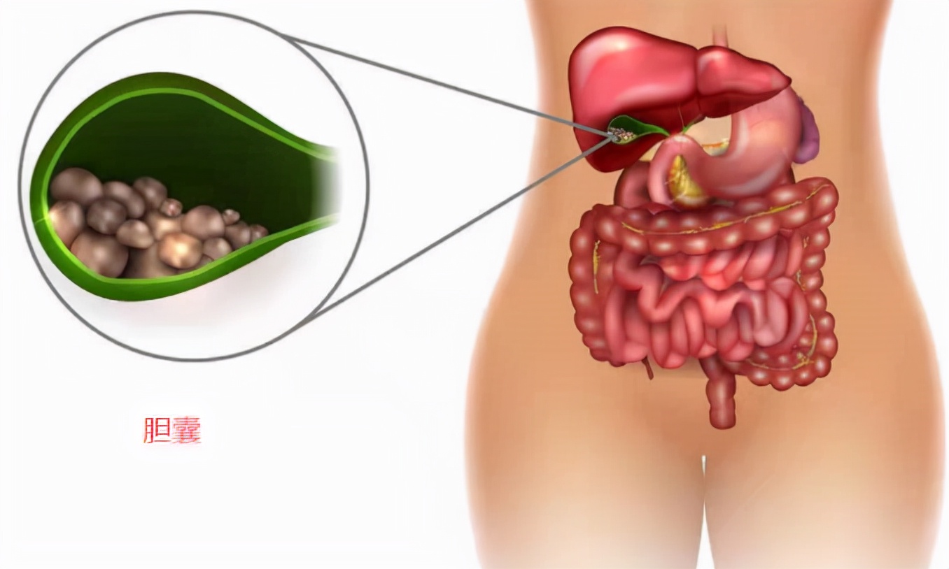 心脏病后背痛和肺癌后背痛的区别,58岁后背疼痛怎么回事