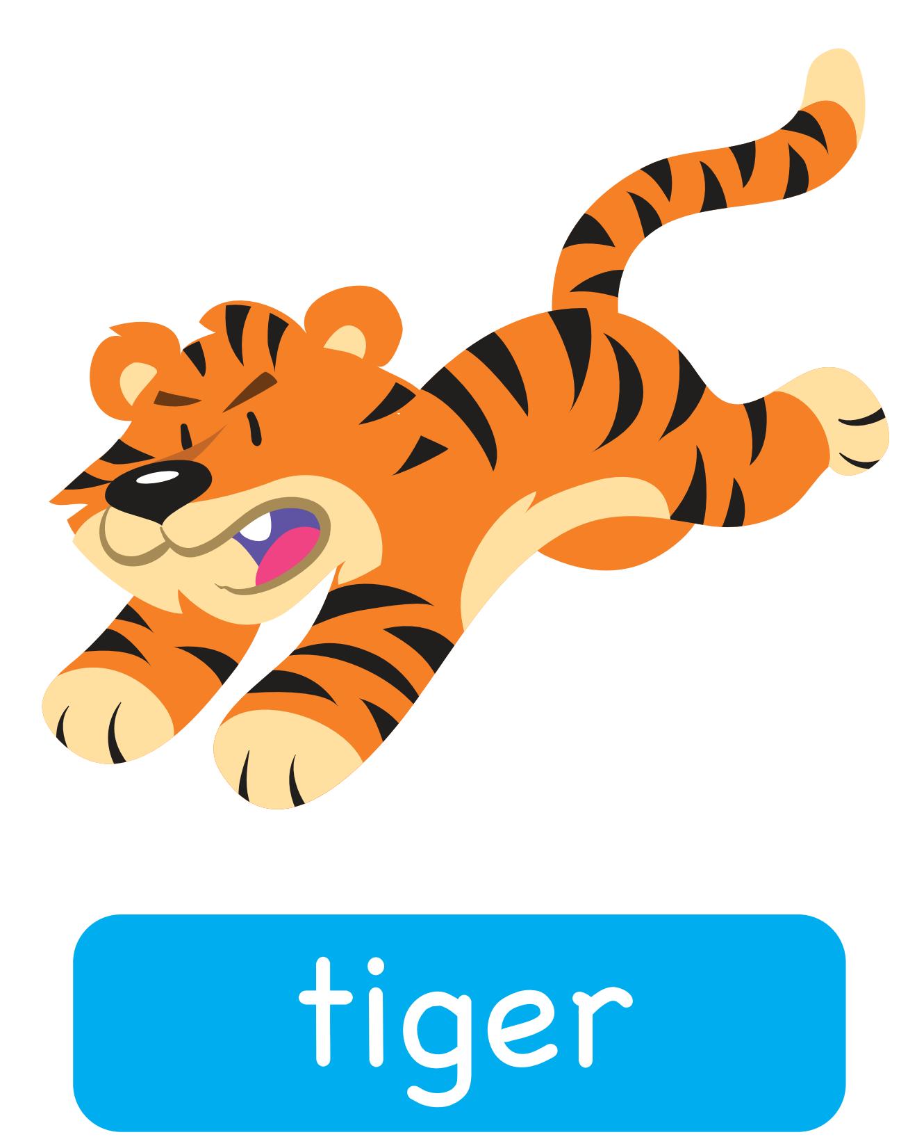 图说英语单词：高清动物类卡片，一图一单词