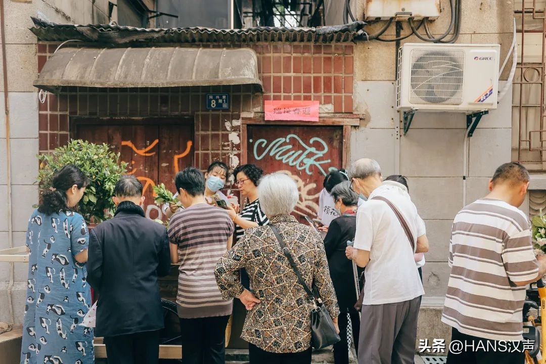 武汉一万朵栀子花,武汉人栀子花